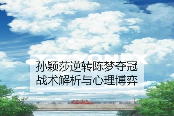 孙颖莎逆转陈梦夺冠 战术解析与心理博弈