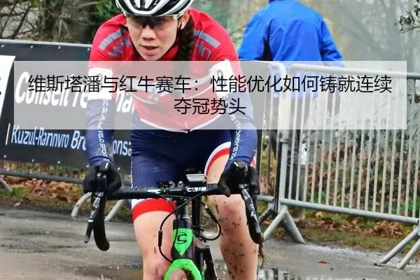 维斯塔潘与红牛赛车：性能优化如何铸就连续夺冠势头