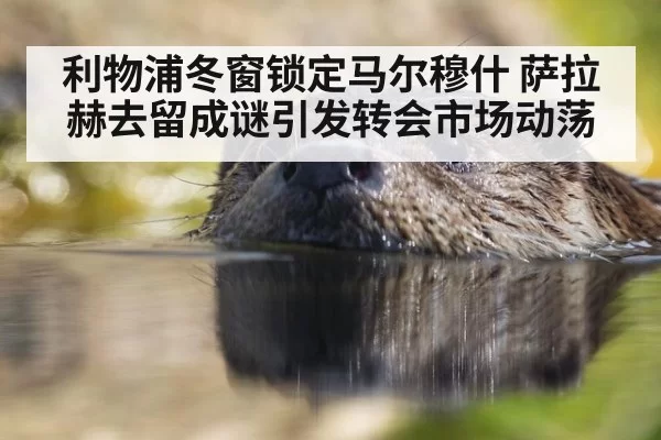 利物浦冬窗锁定马尔穆什 萨拉赫去留成谜引发转会市场动荡